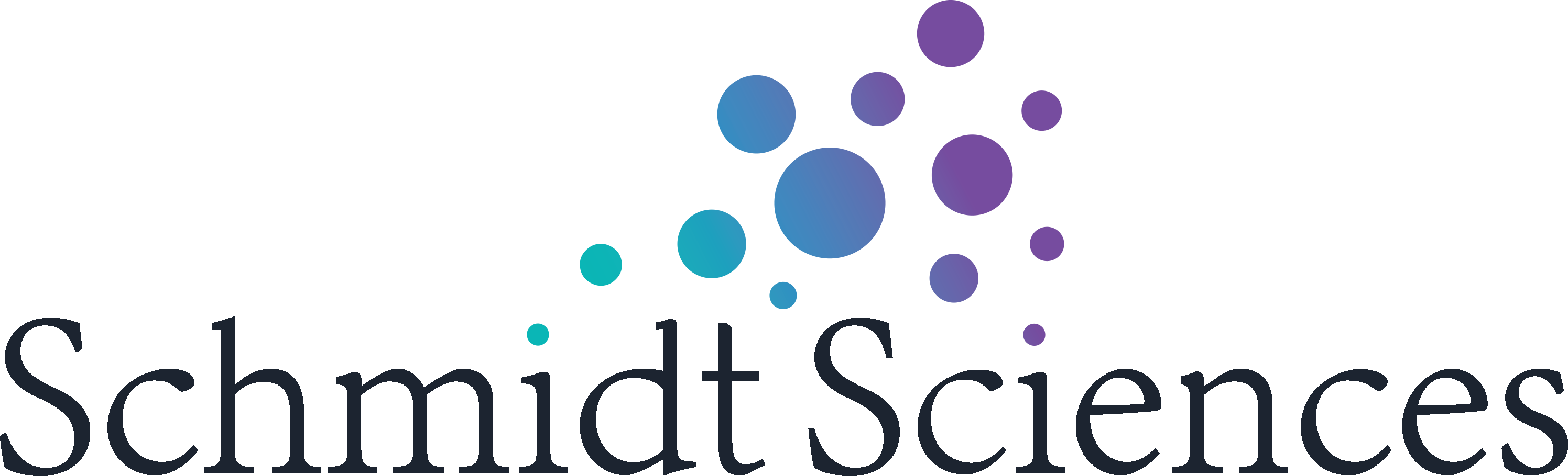Schmidt Sciences